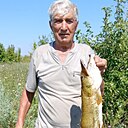 Николай, 69 лет