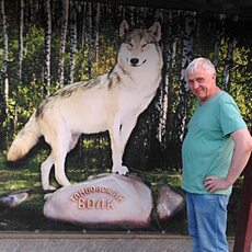 Владимир, 64 из г. Воронеж.
