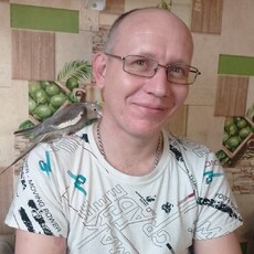 Фотография мужчины Алексей, 37 лет из г. Ростов-на-Дону