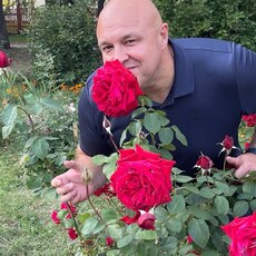 Фотография мужчины Алексей, 39 лет из г. Нижний Новгород