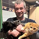 Вячеслав, 37 лет