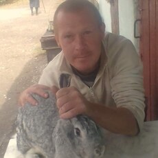Фотография мужчины Александр, 43 года из г. Нижнегорский