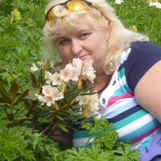 Фотография девушки Елена, 51 год из г. Ставрополь