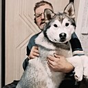 Юрий, 66 лет