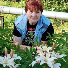Фотография девушки Светлана, 53 года из г. Архангельск