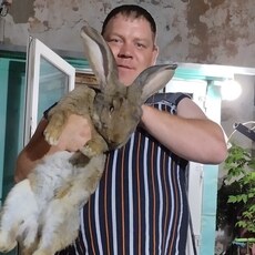 Фотография мужчины Евгений, 35 лет из г. Риддер