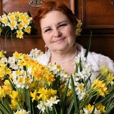 Фотография девушки Елена, 41 год из г. Подольск