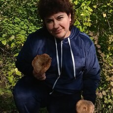 Фотография девушки Света, 48 лет из г. Краснодар