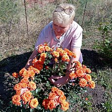 Фотография девушки Алена, 53 года из г. Ставрополь