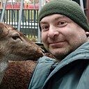 Саня, 44 года