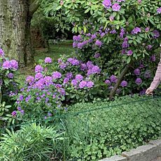 Фотография девушки Машка, 47 лет из г. Кладно