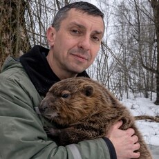 Фотография мужчины Сергей, 40 лет из г. Москва