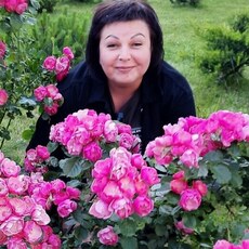 Фотография девушки Светлана, 50 лет из г. Каменское