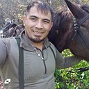 Фадис, 31 год