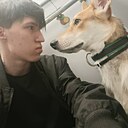 Лис, 19 лет