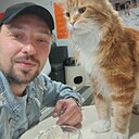 Андрей, 38 лет