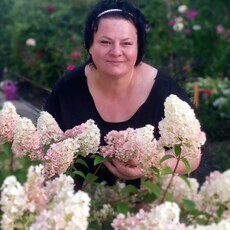 Фотография девушки Nadezda, 46 лет из г. Тольятти