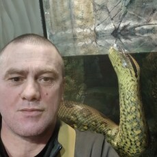 Фотография мужчины Димарик, 42 года из г. Владивосток
