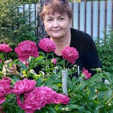 Фотография девушки Елена, 64 года из г. Красноярск