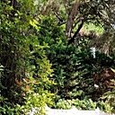 Артем, 32 года