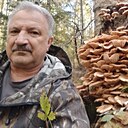 Владимир, 66 лет