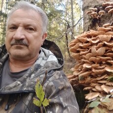 Фотография мужчины Владимир, 66 лет из г. Химки