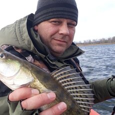 Фотография мужчины Алексей, 46 лет из г. Курск