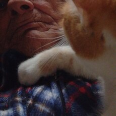 Фотография мужчины Василий, 69 лет из г. Иваново