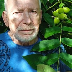 Фотография мужчины Юрий, 66 лет из г. Москва