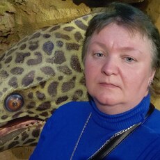 Фотография девушки Лана, 52 года из г. Нижний Новгород