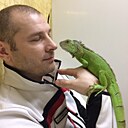 Андрей, 43 года