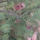 Никита, 47 лет