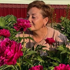 Фотография девушки Елена, 50 лет из г. Пенза