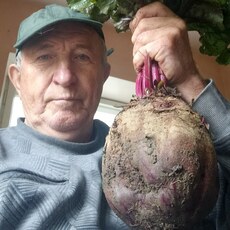 Фотография мужчины Владимир, 70 лет из г. Геленджик
