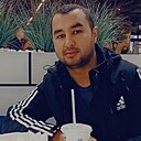 Волк, 34 года