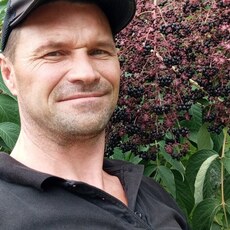 Фотография мужчины Вадим, 44 года из г. Кавалерово
