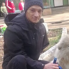 Фотография мужчины Анатолий, 38 лет из г. Курск