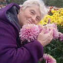 Елена, 65 лет