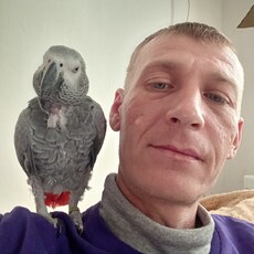 Фотография мужчины Алексей, 41 год из г. Ростов-на-Дону