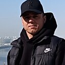 Виги, 41 год