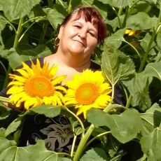 Фотография девушки Марина, 55 лет из г. Псков