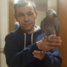 Фотография мужчины Алексей, 40 лет из г. Чебоксары