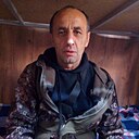 Волк, 44 года