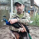 Пашка, 36 лет