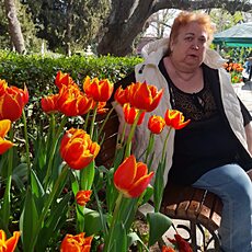 Фотография девушки Елена, 63 года из г. Петушки