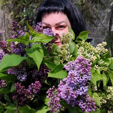 Фотография девушки Вика, 36 лет из г. Ставрополь