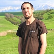 Фотография мужчины Дима, 31 год из г. Чимкент