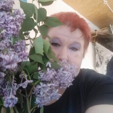 Фотография девушки Елена, 54 года из г. Степногорск