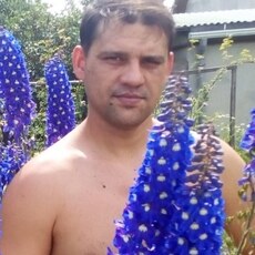 Фотография мужчины Максим, 37 лет из г. Старый Оскол