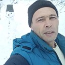 Серый, 41 год